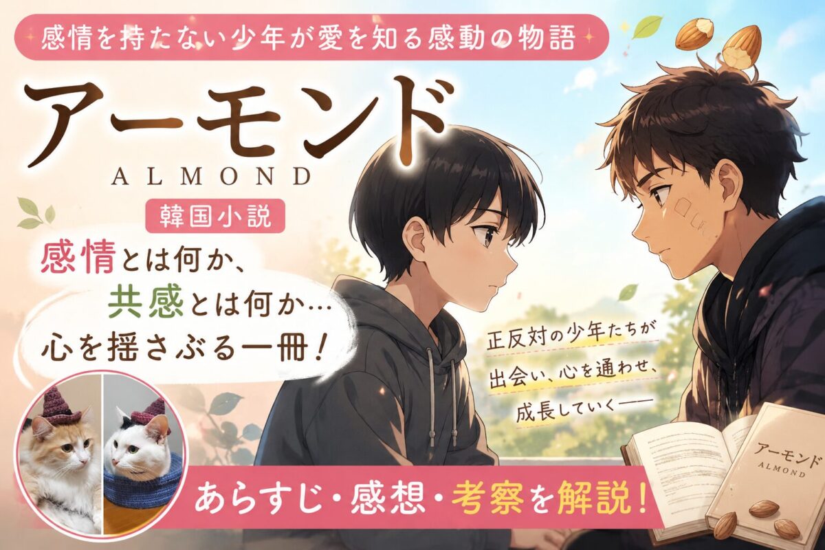 ソン・ウォンピョンによるベストセラー小説『アーモンド』サムネイル画像