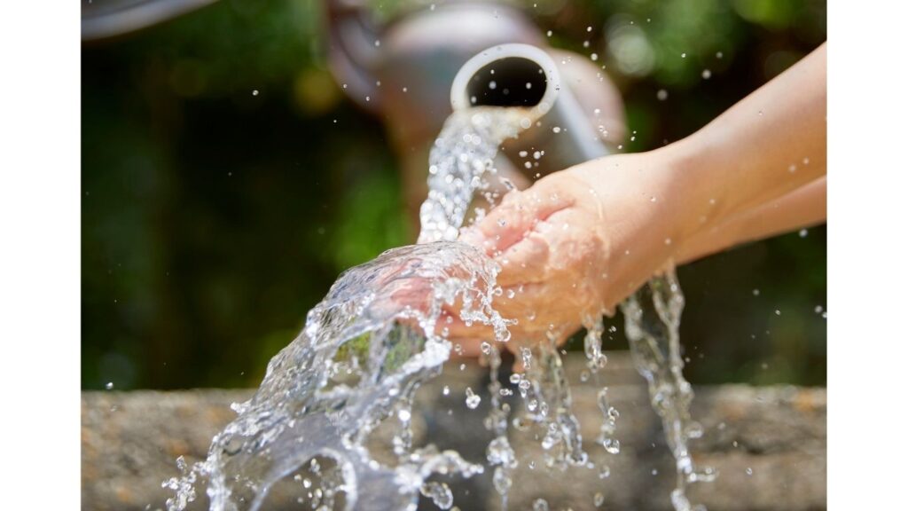 水に興奮してしまうイメージ画像