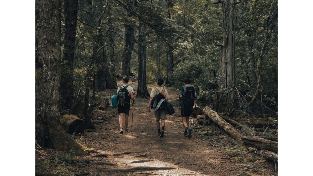 集団歩行祭のイメージ写真
