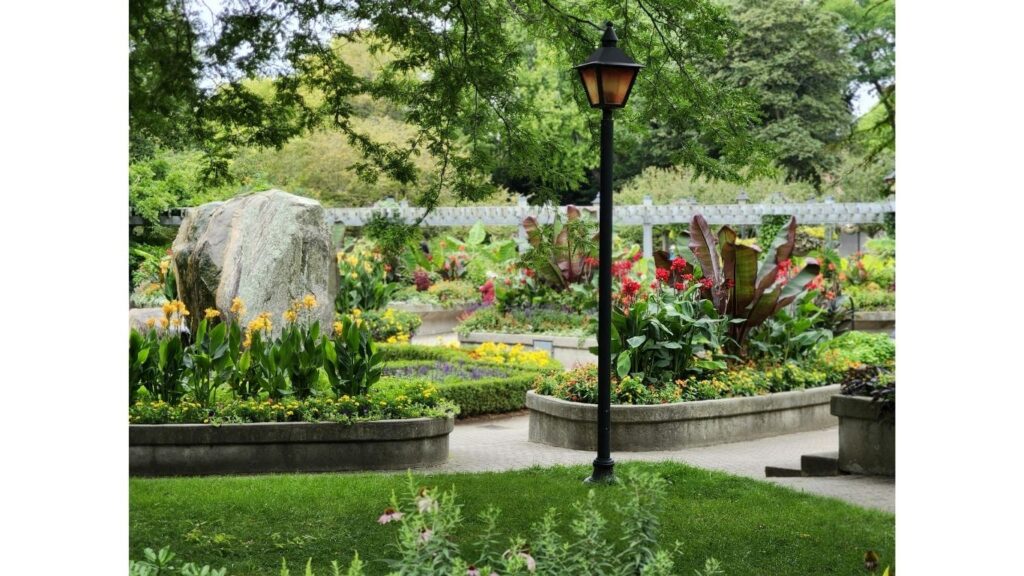 シドニーの植物園のイメージ画像