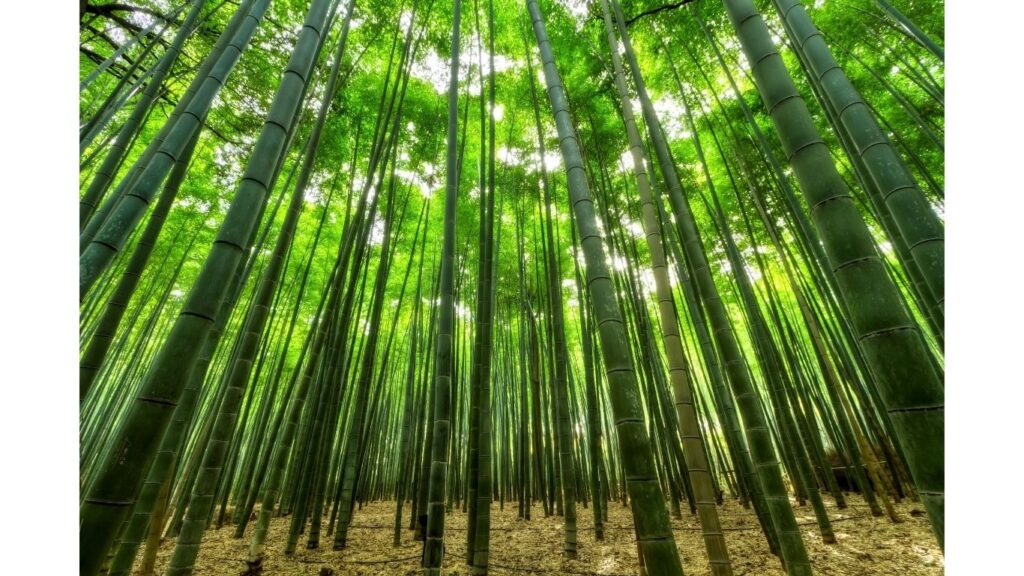 地上で立っていても地中では繋がっているイメージ画像